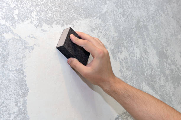 Best Mold Remediation for Healthcare Facilities  in Golden Grove, SC