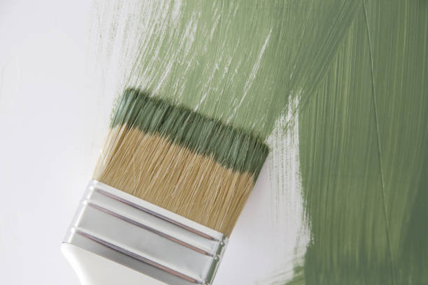Best Black Mold Removal  in Golden Grove, SC