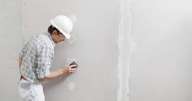 Best Attic Mold Removal  in Golden Grove, SC
