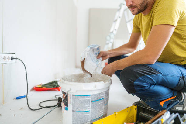 Best Basement Mold Removal  in Golden Grove, SC